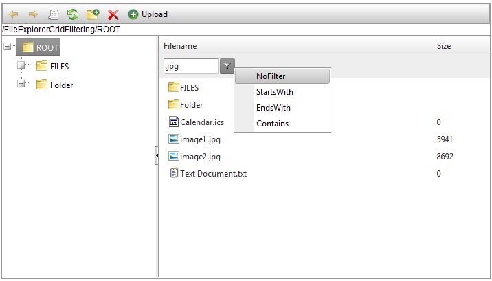 Radfileexplorer File