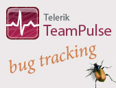 TeamPulse BugTracking