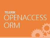 Telerik OpenAccess ORM