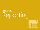 Ad-hoc Reports on the Fly. No Dev Required