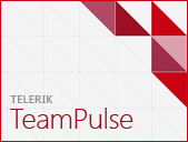 TeamPulse