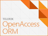 OpenAccess ORM