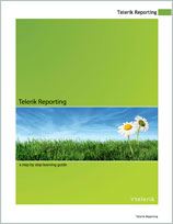 Reporting Manual
