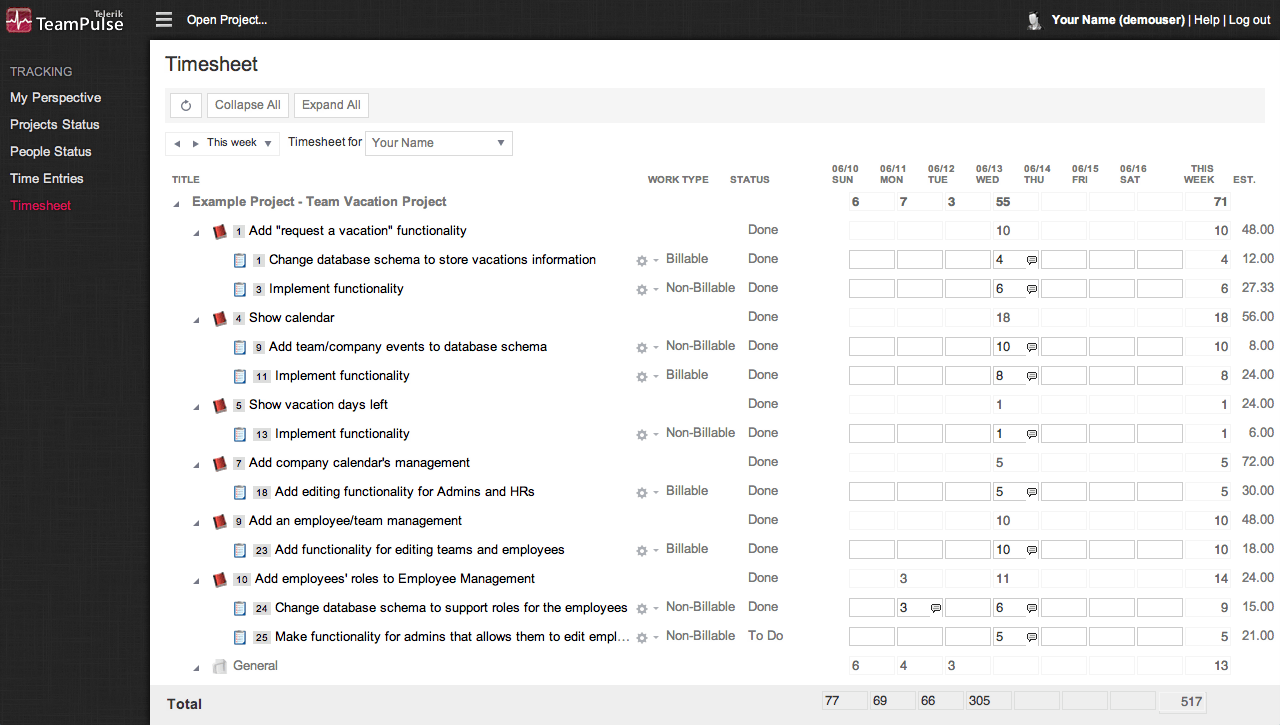 TeamPulse Time Tracking - Timesheet View