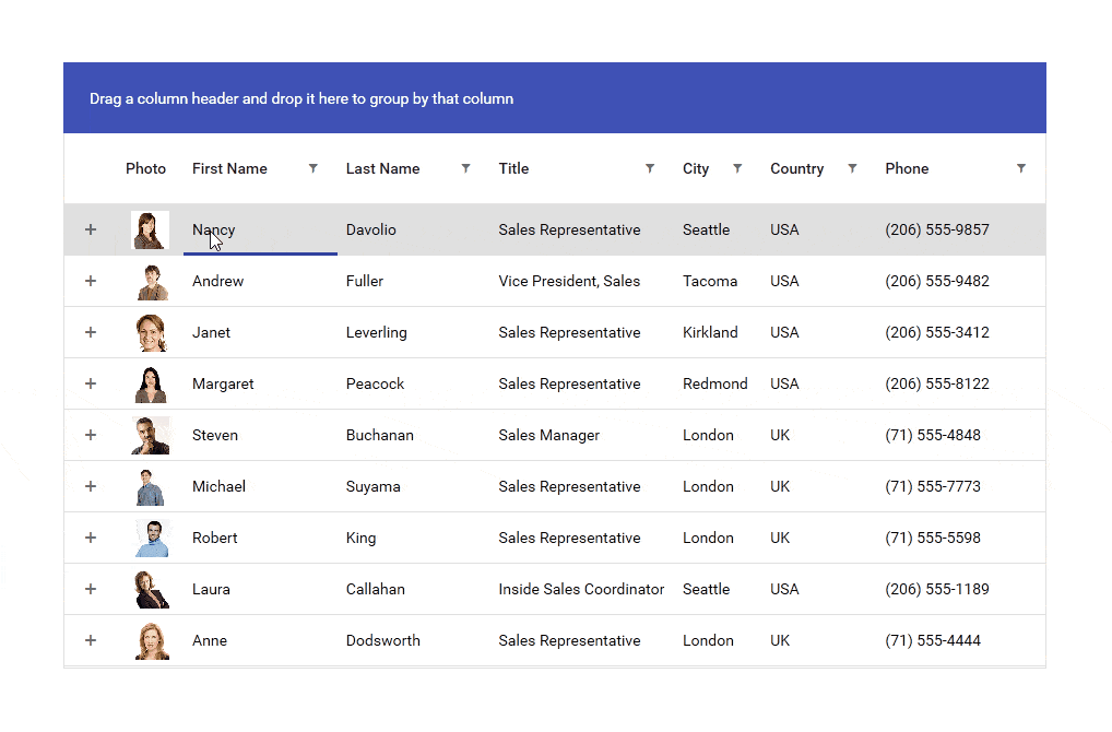 1. WPF - material Telerik UI for WPF Material theme