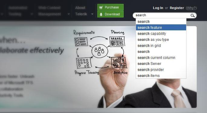 The site search autocomplete