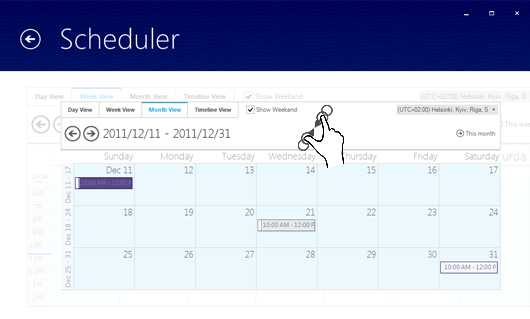 Multi-touch support for Rad Scheduler for Windows Forms