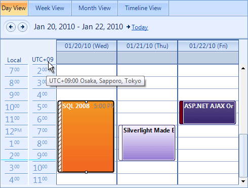 Telerik RadScheduler for WinForms - Q3 2010 Time Zone support