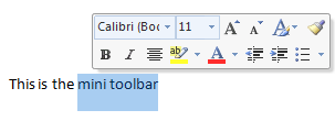 WordMiniToolbar