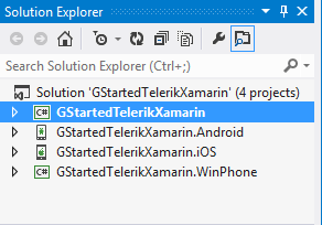 Telerik UI for Xamarin - Solution Architecture