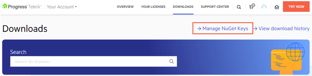 UI for ASP.NET Core Manage NuGet Keys
