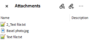 Resolving duplicated Names in Embedded Files