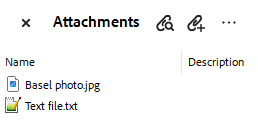 Embedded Files in a PDF document