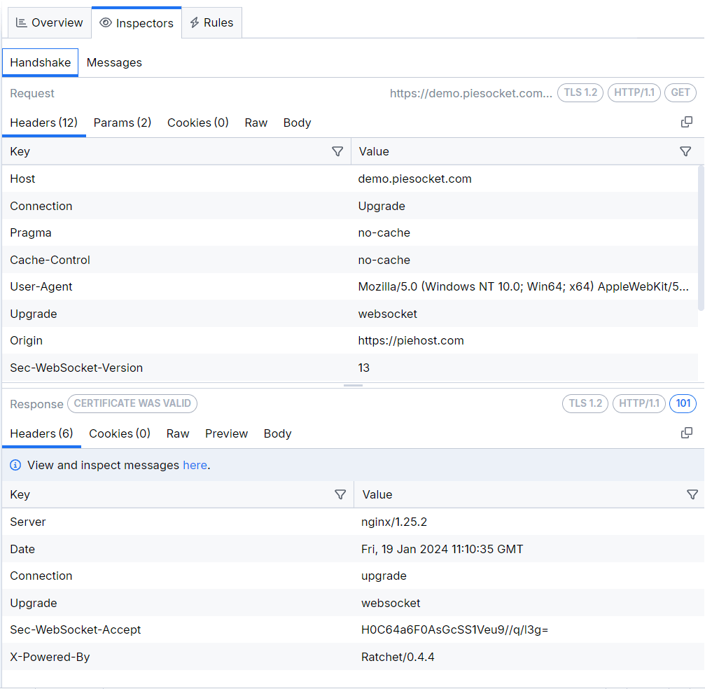 WebSocket and gRPC Handshake Inspector