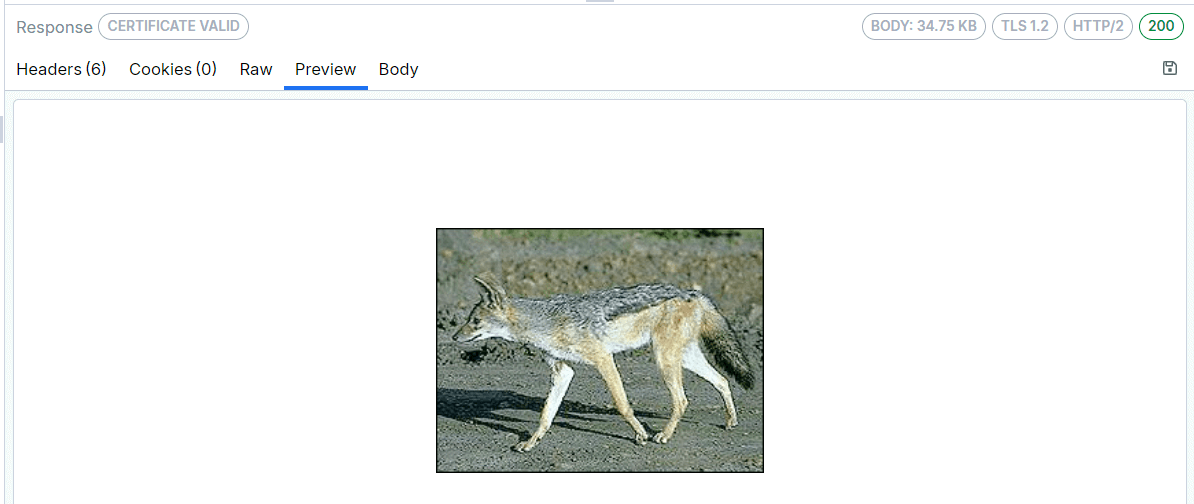 Preview Inspector rendering image