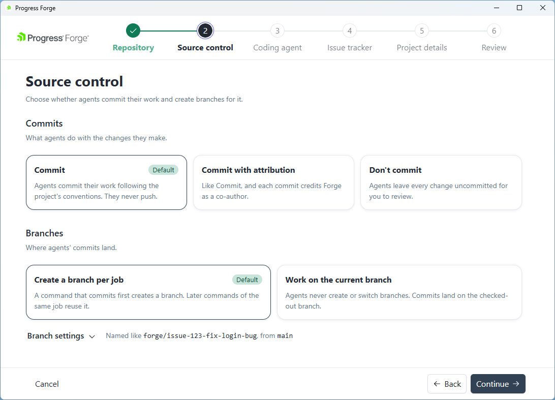 Source control options for commits and branches