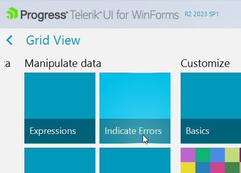 Use IDataErrorInfo in RadGridView with lazy-loaded hierarchy in UI for ...