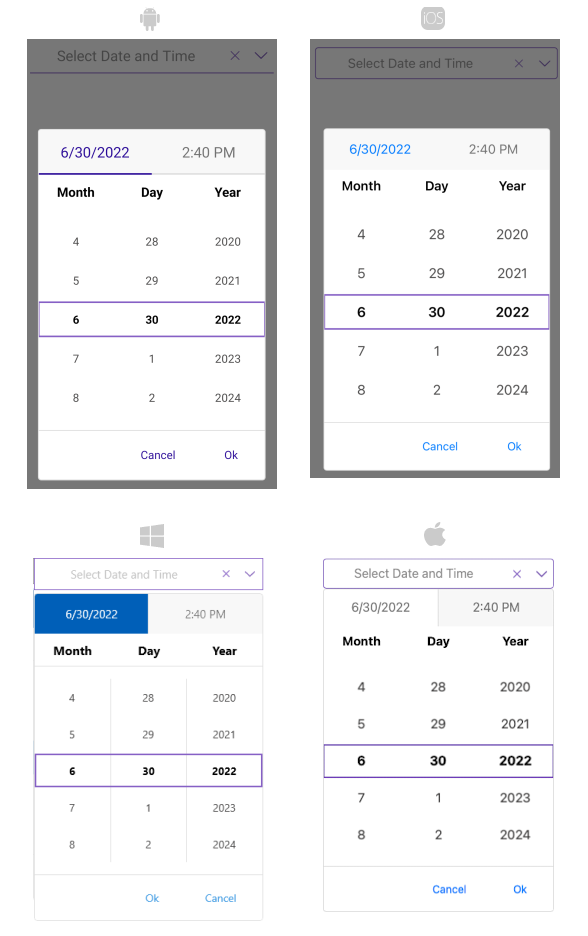 DateTimePicker Styling