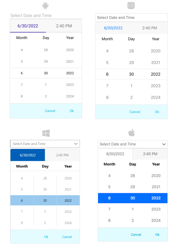 DateTimePicker DropDown Style