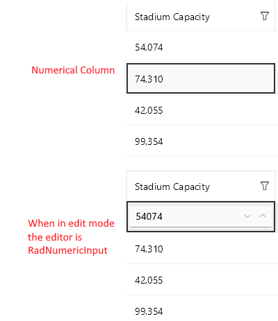 DataGrid Numerical Column