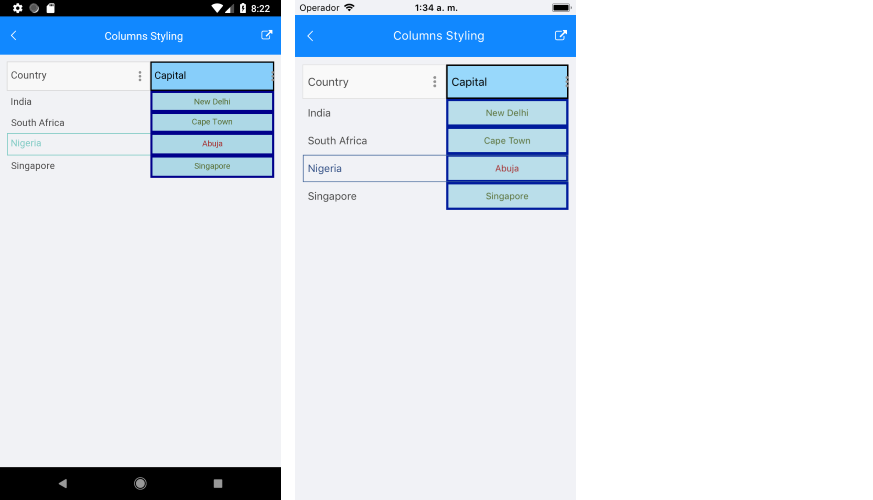 DataGrid Columns Styling