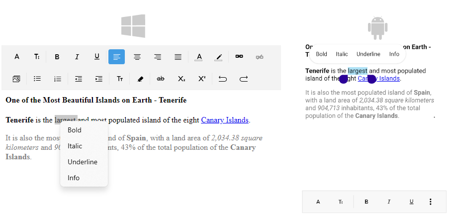 .NET MAUI RichTextEditor Context Menu Custom