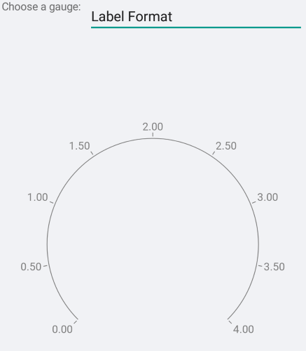Gauge label format