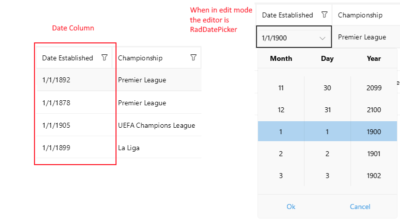 DataGrid Date Column