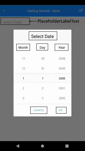 MAUI localization for DatePicker
