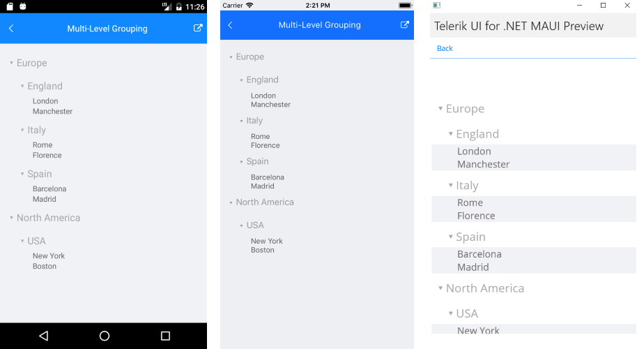 .NET MAUI ListView Multi-Level Grouping