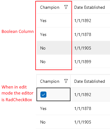 DataGrid Boolean Column
