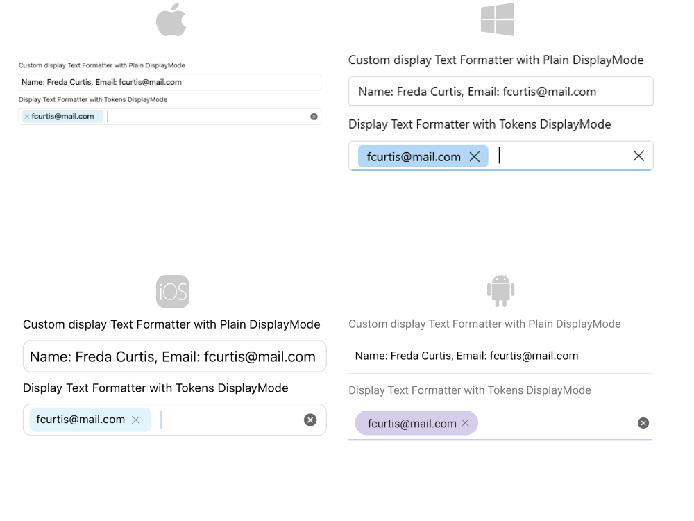 .NET MAUI AutoComplete DisplayText Formatter