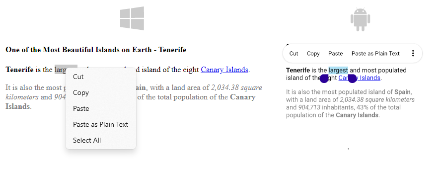 .NET MAUI RichTextEditor Context Menu