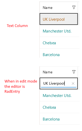 DataGrid Text Column