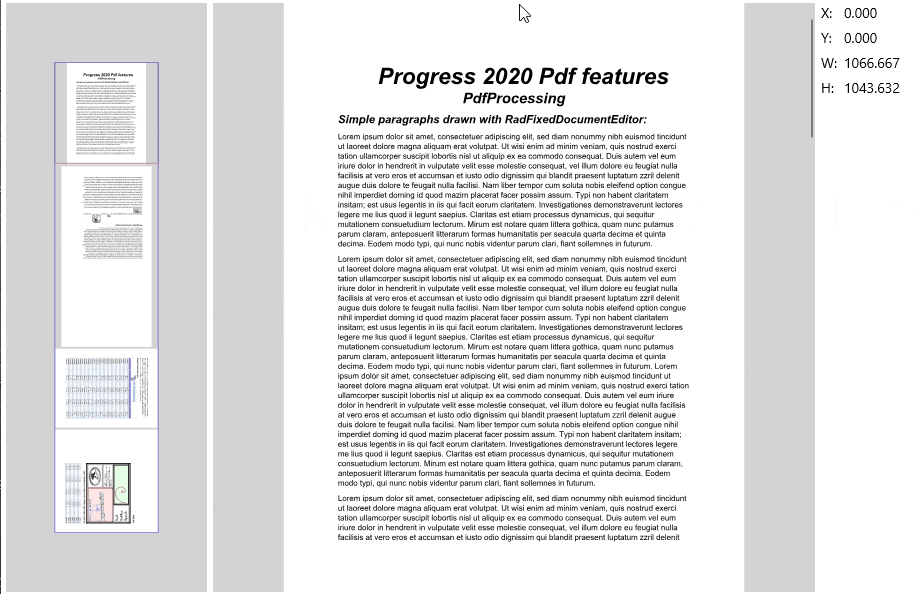 .NET MAUI PDF Viewer Viewport