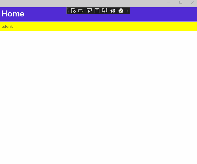 End result for setting the visual states of the Telerik UI for .NET MAUI Entry control