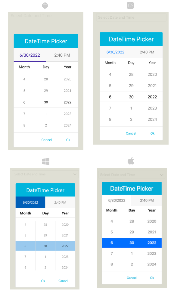 DateTimePicker Popup Style
