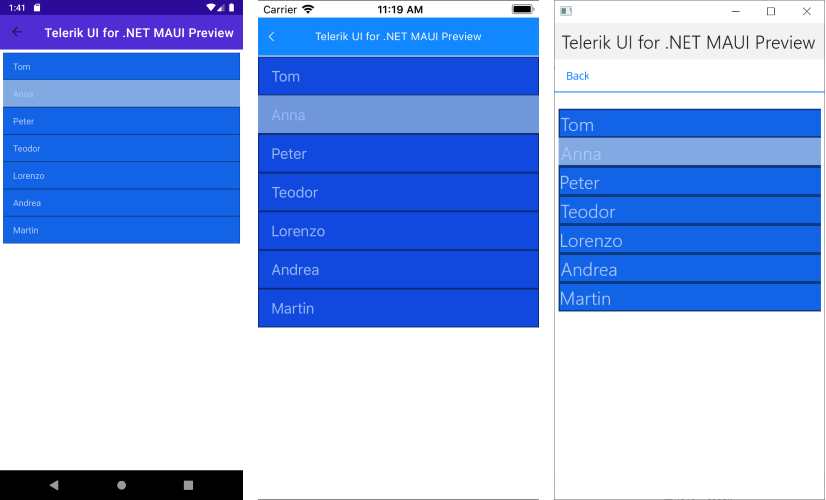 .NET MAUI ListView Item and Selected Item Styling