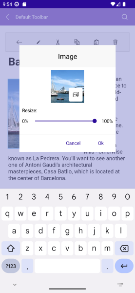 .NET MAUI RichTextEditor Add Image