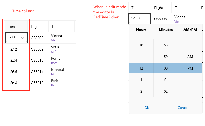 DataGrid Time Column
