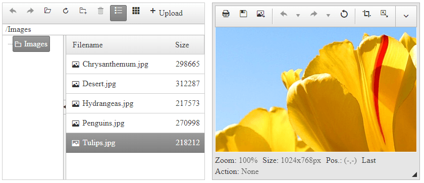 Edit Selected Image