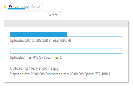 WebForms Progress Area