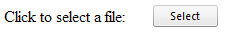 File Input Hidden