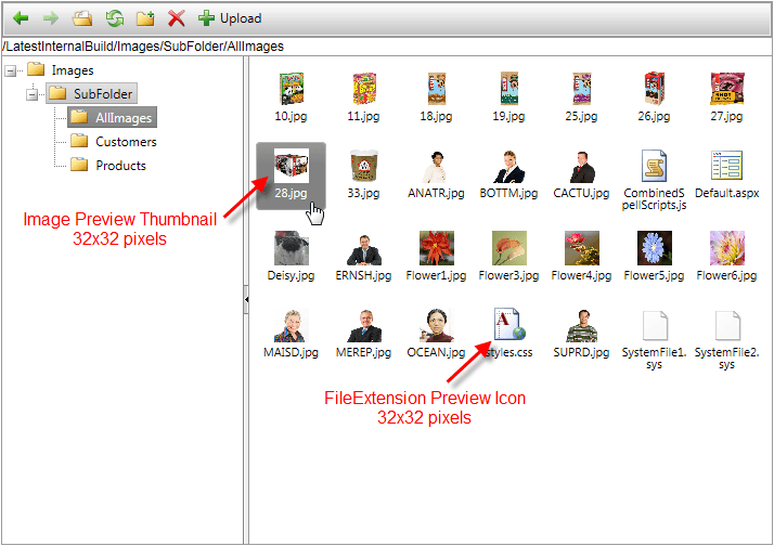 radfileexplorer-standard-thumbnail-size