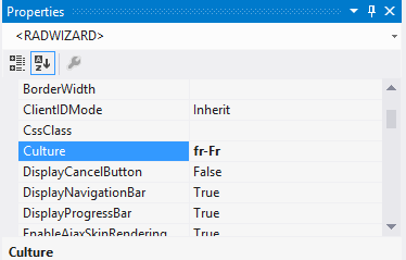 wizard-localization-property-culture