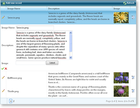 BinaryImage and Upload in RadGrid
