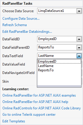 Smart Tag Text Field