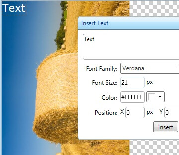 radimageeditor-add-text-limitation-im 3