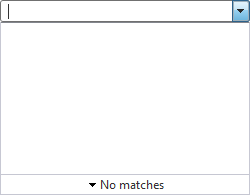 ComboBox Localization No Matches