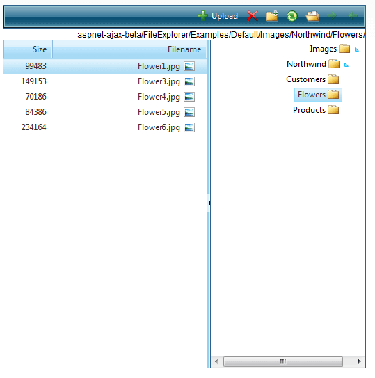radfileexplorer-rtl-screenshot
